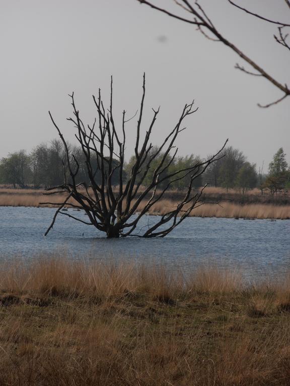 Gezond Boeren Verstand Dalerveen Luaran gambar