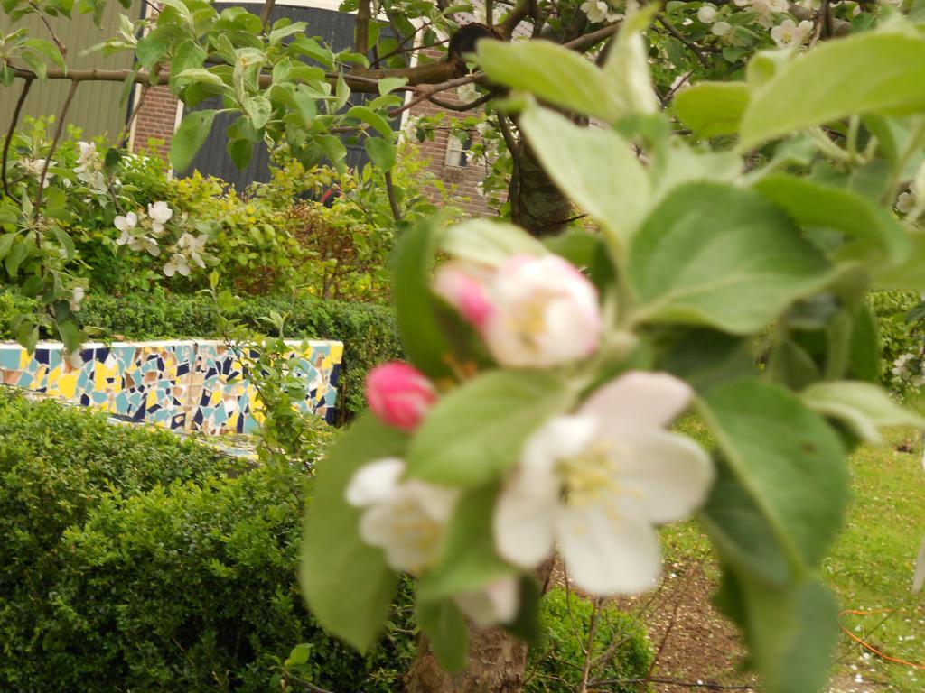 Gezond Boeren Verstand Dalerveen Luaran gambar