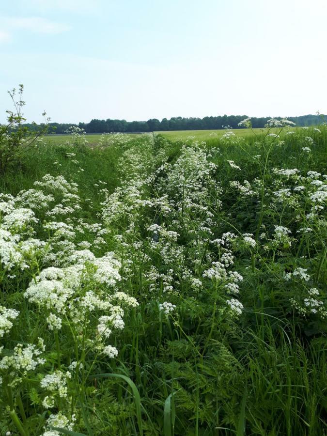 Gezond Boeren Verstand Dalerveen Luaran gambar